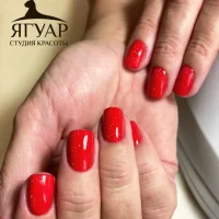 салон ягуар изображение 3