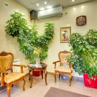 салон красоты гелиос изображение 6