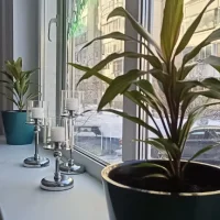 салон красоты crocosalon изображение 5