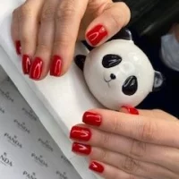 салон красоты панда изображение 7
