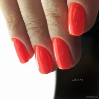 lak lab nails & beauty на производственной улице изображение 6
